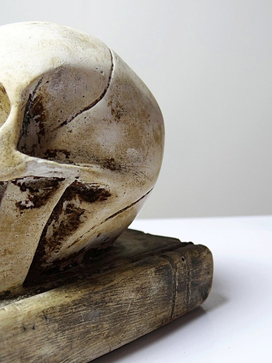 Image 1 of Ancien Memento Mori en plâtre, crâne sur livre, curiosité fin XIXe début XXe
