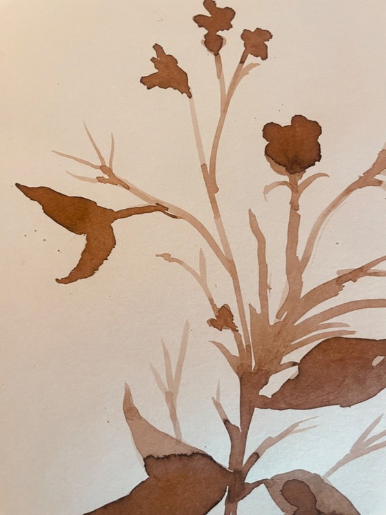 Image 1 of Painting, monochrome sepia still life "dried flowers", signed