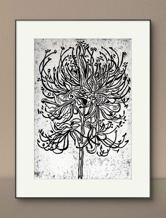 Image 1 of Spider Lily Linocut - Impresión botánica en blanco sobre negro