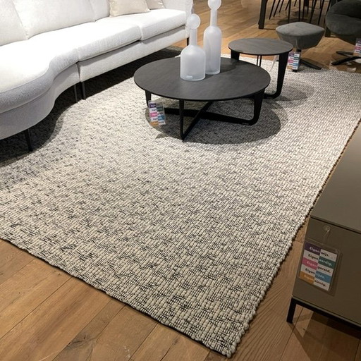 Il tappeto Munk Forza - 250x350