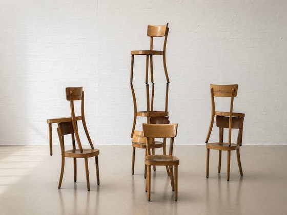 Image 1 of Set van 6 gebogen houten stoelen, gemaakt van massief hout, Thonet ZPM Radomsko, Polen, jaren 1950.
