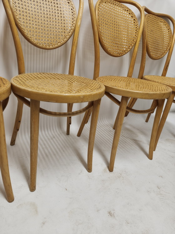 Set Van 4 Vintage Thonet Caféstoelen – ZPM Radomsko – Eetkamerstoelen, Rattan, Wood (photo 4 of 8)