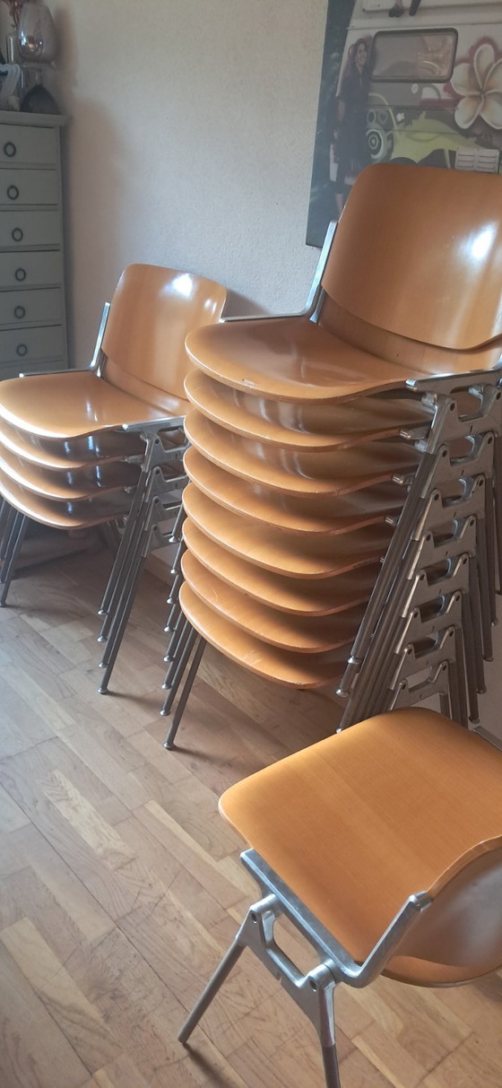 Chaises en bois Castelli d'occasion jsc 87/9, Chaises de salle à manger, Beige (photo 5 sur 5)