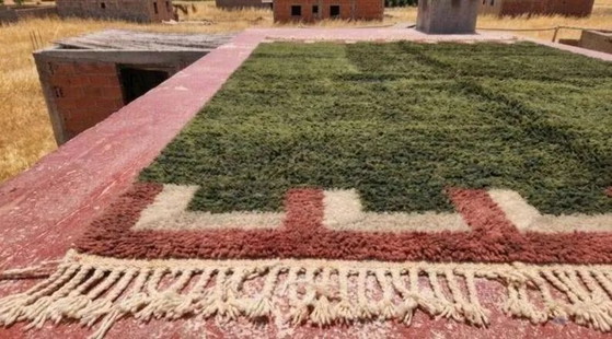 Moroccan Berber rug in khaki green and ecru 300x200 cm – handmade – Rugs & carpets, Wool, Cotton, Vintage (photo 5 of 7)