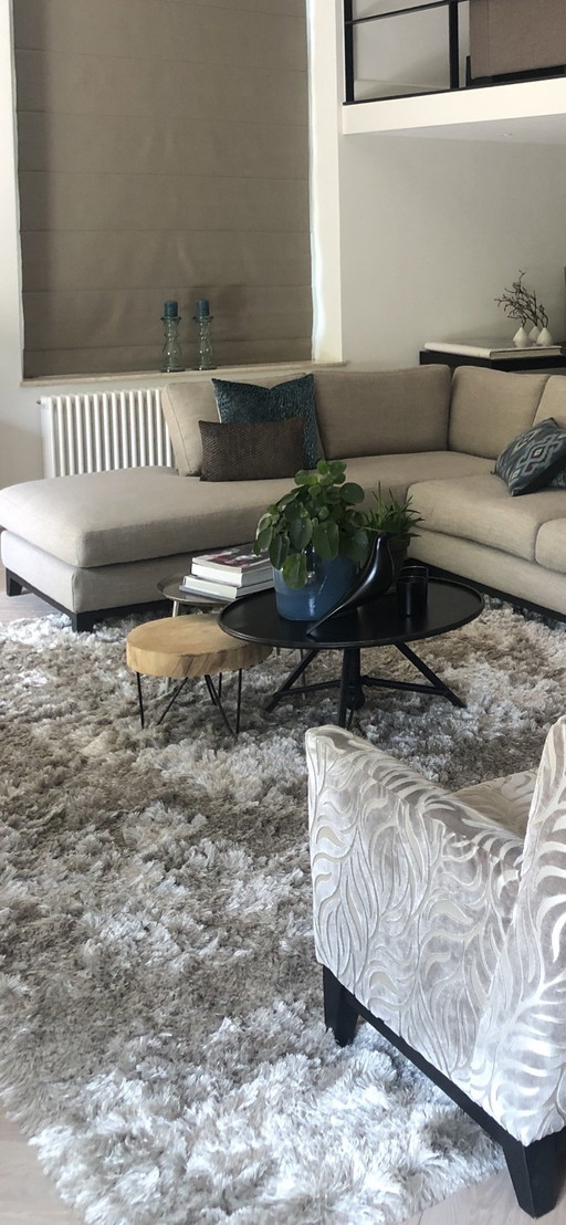Olav beautiful taupe shades rug 280 by 380