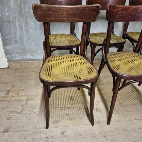 Image 1 of Set van 6 eetkamerstoelen, Thonet-stijl, jaren 60, Tsjecho-Slowakije