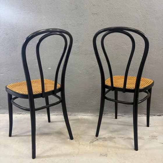Image 1 of Paire de chaises en bois courbé, modèle Vienna Straw Seat, par Thonet pour Herbatschek, Pologne des années 1960