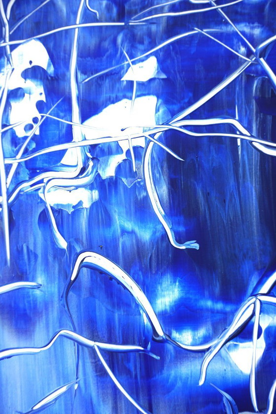 Image 1 of Jürgen Angeler - Het oceaanoor