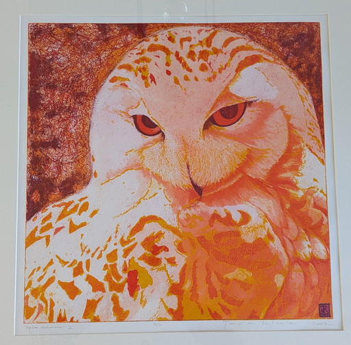 Large Coloring Set Snowy Owl Toni de Klerk