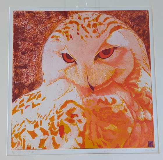 Image 1 of Large Coloring Set Snowy Owl Toni de Klerk