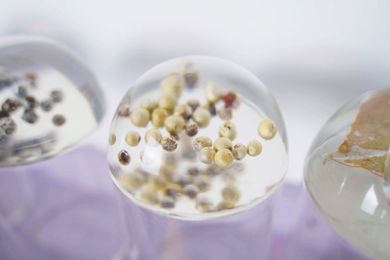 Image 1 of French Plexiglas Vintage Spice Container Jars – Set of 6 Preserved Herb Cylinders