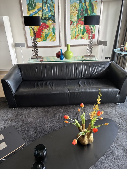 Cuir noir Gelderland 4800