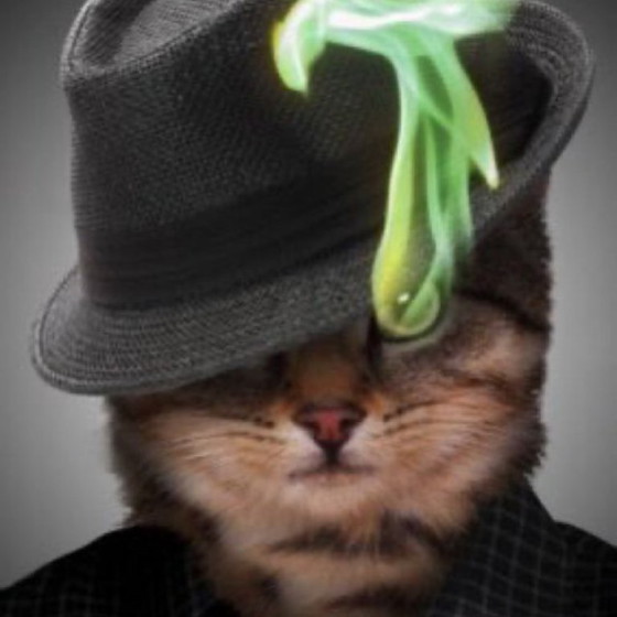 Image 1 of Pokemon4ic sosal