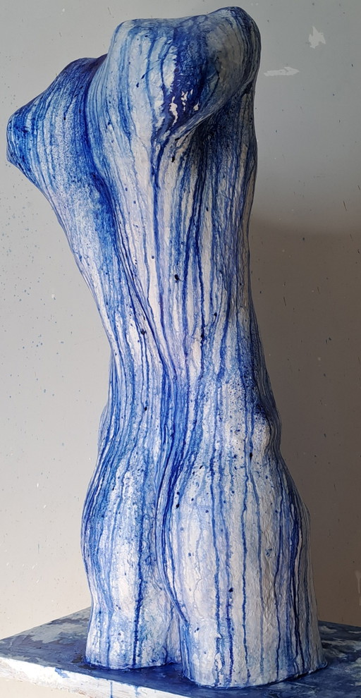 Transgender Torso