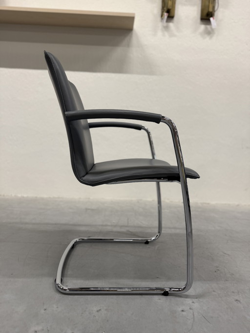 Leolux Freyr dining chair Gray leather