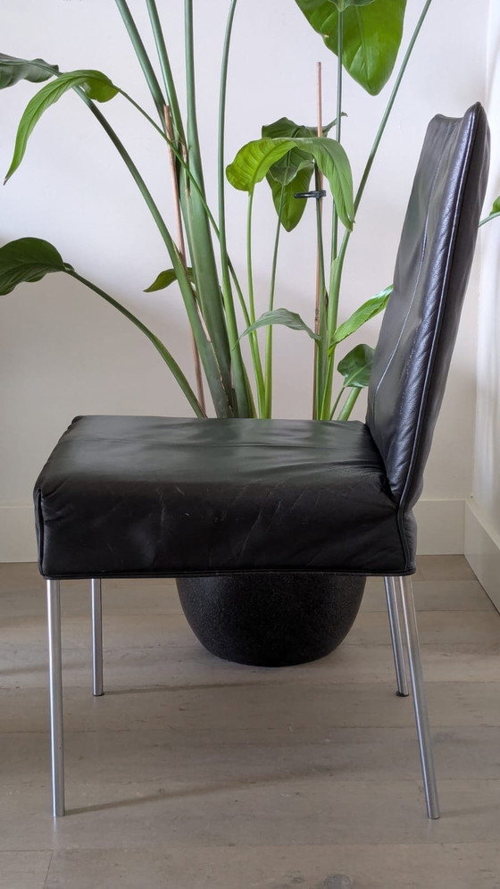 Image 1 of 6 Design-Esszimmerstühle Montis