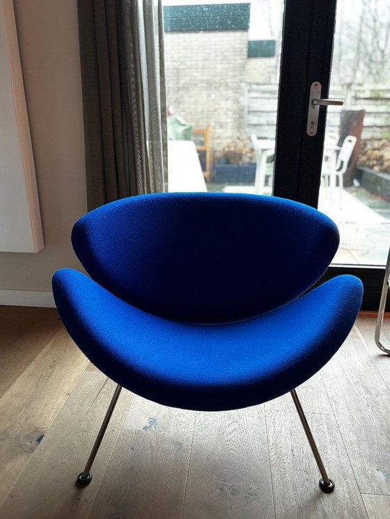 Image 1 of Sedia Artifort arancione lices blu reale