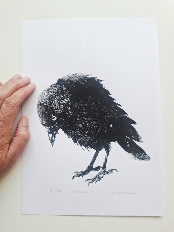 Linoprint 'Kauwtje' – M. Jasperse, Kunst, Papier (photo 2 of 9)