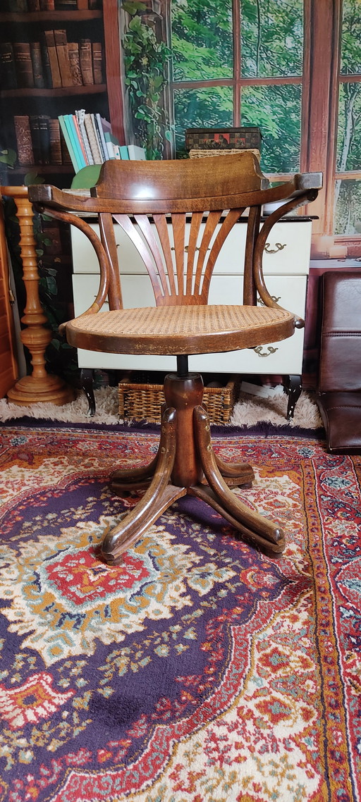 Sedia girevole vintage Ligna Captain – draaistoelen, Metal, Wood (photo 2 of 11)