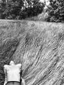 Michel Pinel 1949-2022 Superb Artistic Nude Photography Of Great Quality