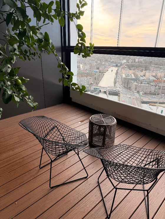 Image 1 of Knoll Bertoia Diamond buitenfauteuil