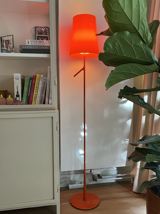 Image 1 of Foscarini Birdie Orange
