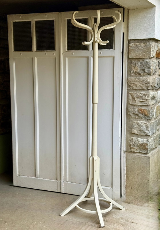 Parrot Kleiderständer, 6 Äste, Holz, Vintage (Foto 5 von 8)