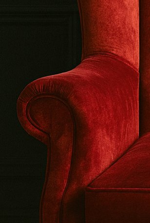 Image 1 of Capiton de causeuse