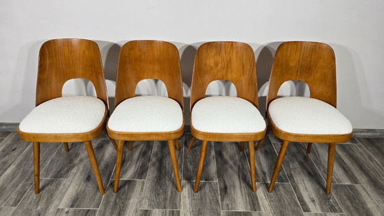 Image 1 of Eetkamerstoelen van Oswald Haerdtl