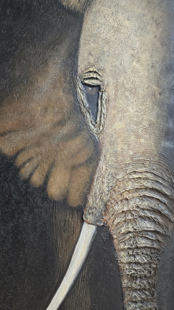 Large 3D Texture Painting Elephant L. Paramault (150x75) – Paintings & Drawings, Wood, Canvas (photo 4 of 13)