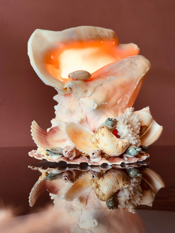 Image 1 of Vintage '70s shell lamp