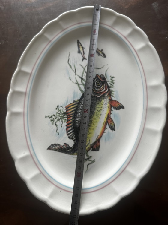 Image 1 of Plat à Poisson Vintage en Céramique " Ceramica Castellana " 36/27 cm