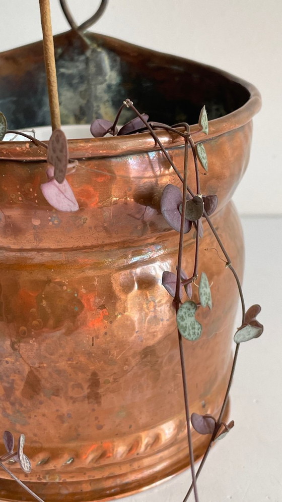 Image 1 of CACHE-POT Murale VINTAGE