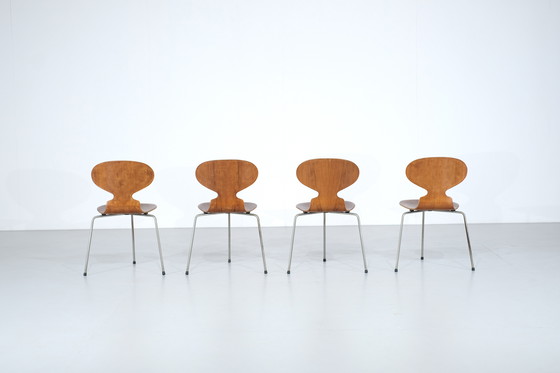 Image 1 of Set of 4 Ant Chairs model 3100 in teak by Arne Jacobsen or Fritz Hansen - 1950s