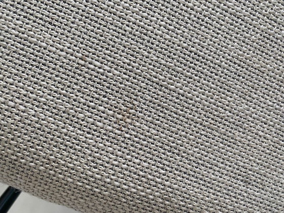 Image 1 of Sedie da pranzo Bodilson Vesper, 6 pezzi