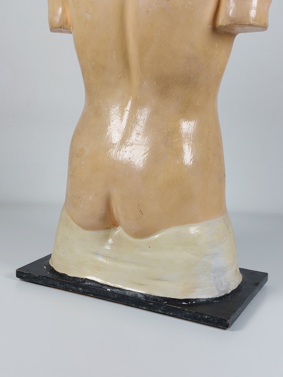 Image 1 of Vecchio modello anatomico didattico, gesso Phywe, torso anni '40