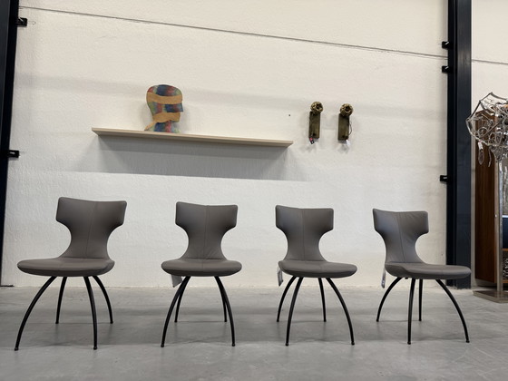 Image 1 of 4 Leolux Callas Dining Chair Wapiti Triel Artisan Chair