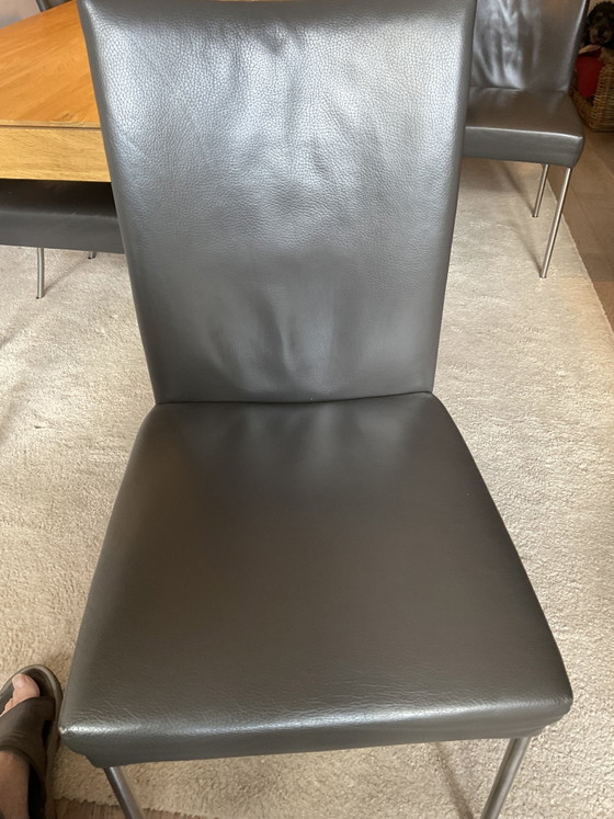 Six Chaises de Salle à Manger Bert Plantagie – Leather, Metal (photo 4 of 9)