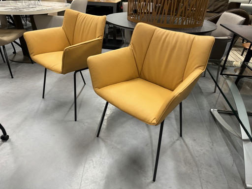2 Label Gustav chaise de salle à manger Ohmann cuir