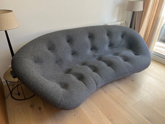 Image 1 of Ligne Roset Ploum