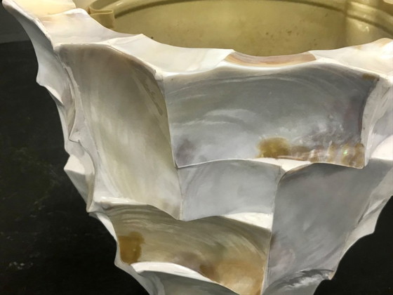 Image 1 of Radica Bowl Perlmuttmuschel Pflanzkübel Blumentöpfe Pflanzvase