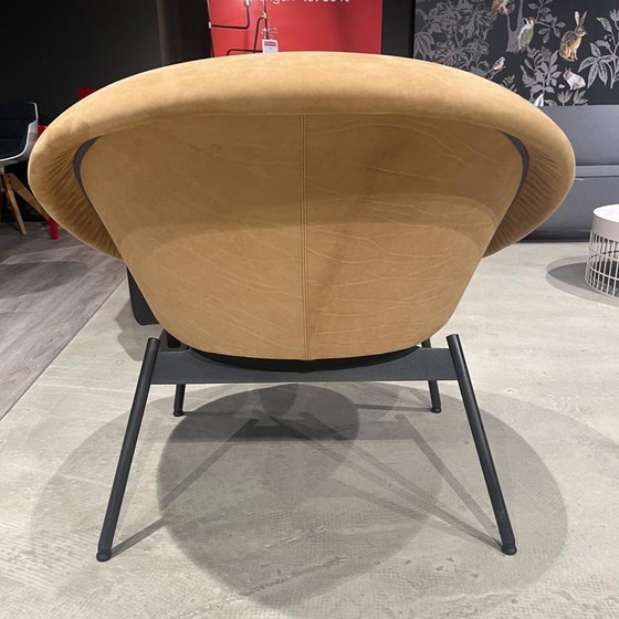Pode Tibia fauteuil – Leather (photo 4 of 4)