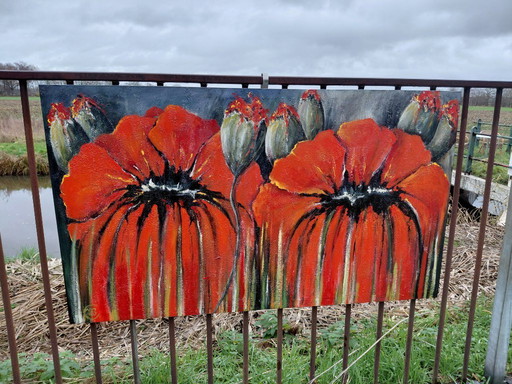 Tableau coloré avec des coquelicots