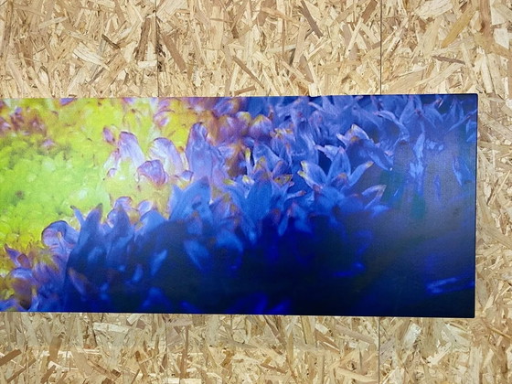 Image 1 of Design Wandregal "Audire" Bedruckt Vom Künstler "Winfried Becker" Um 2000