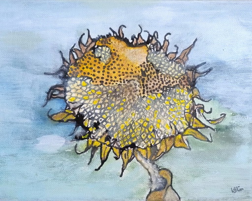 Zonnebloem