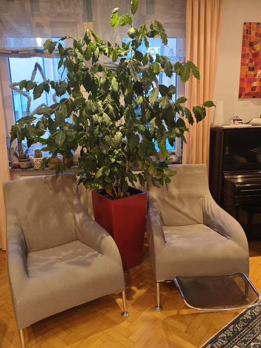 B&B Italia: Sillón modelo Florence (diseño de Antonio Citterio)