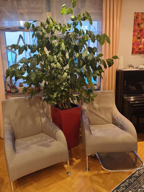 Image 1 of B&B Italia: Sillón modelo Florence (diseño de Antonio Citterio)