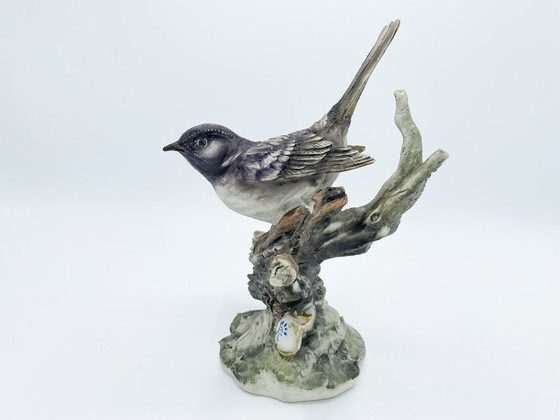 Image 1 of Capodimonte – Passerotto di Marfò