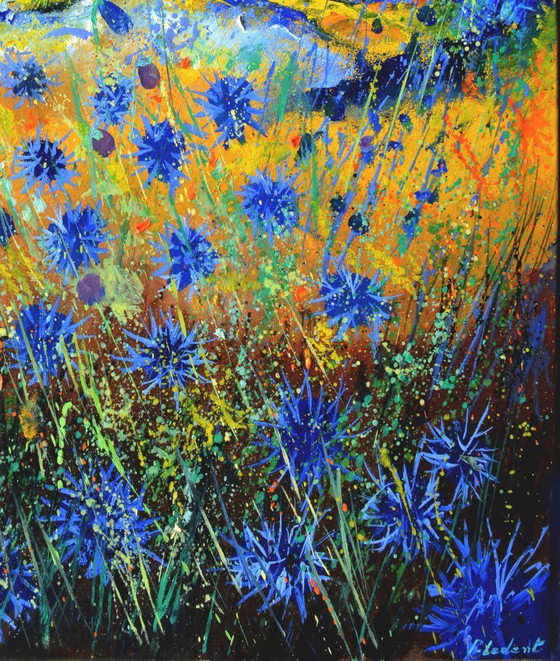 Image 1 of Cornflowers 97