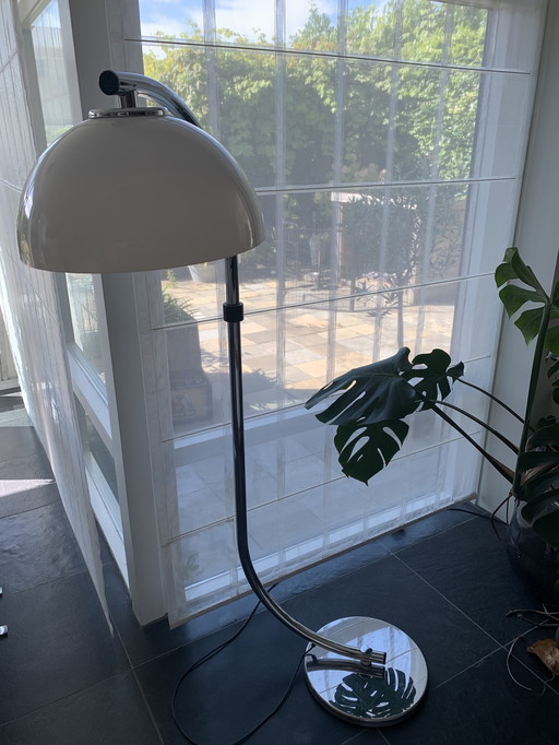 Dijkstra Slangenlamp